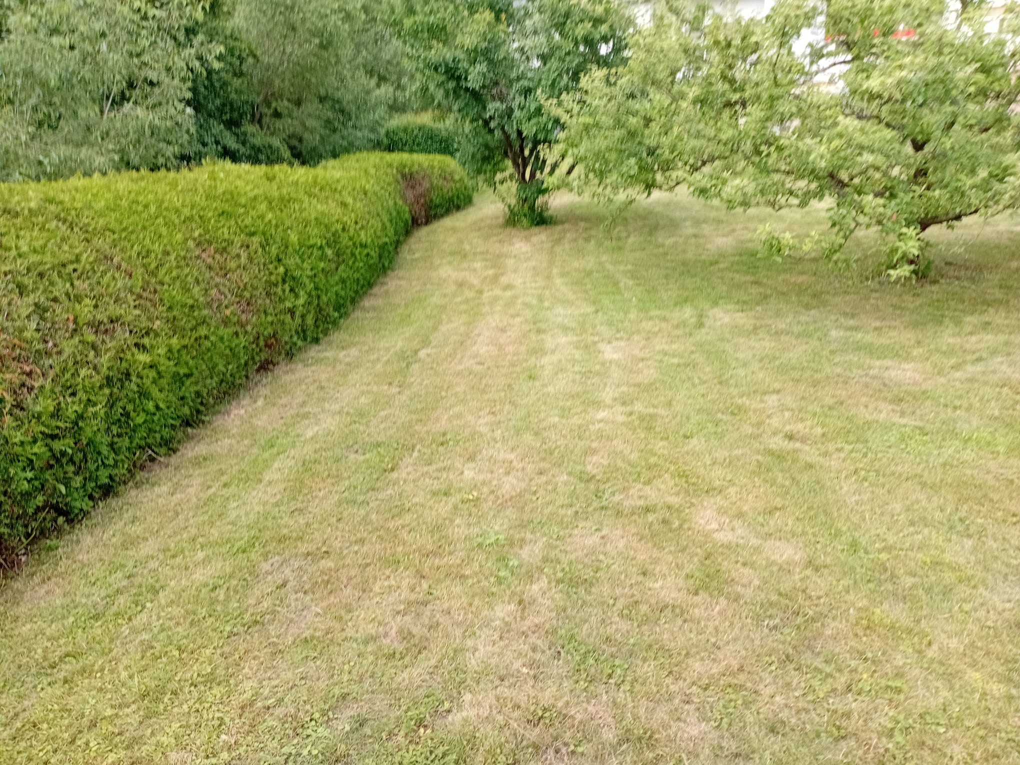 Rasenpflege & Grundstückspflege