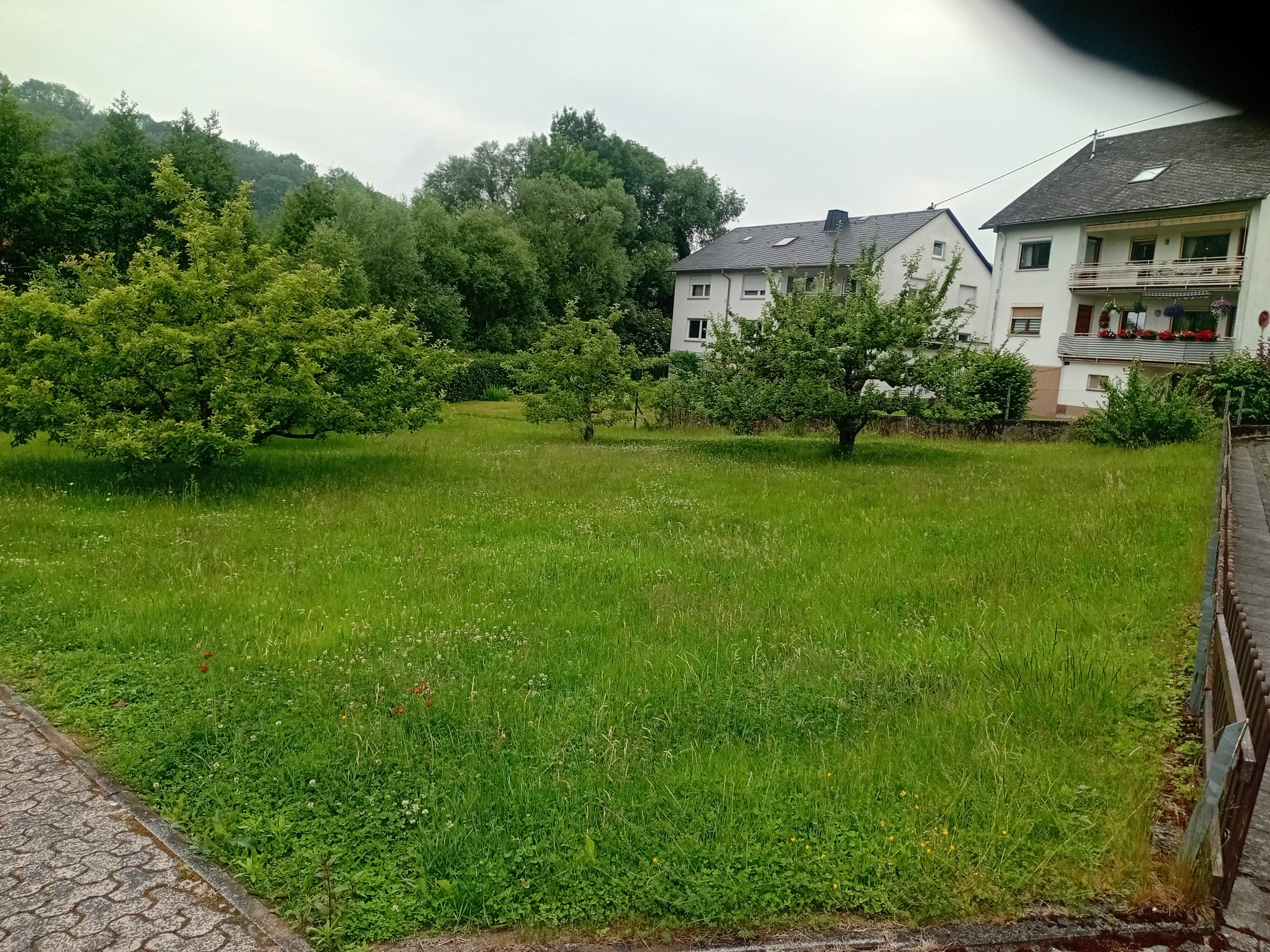 Vorher – Rasenpflege & Grundstückspflege
